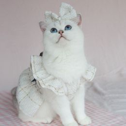 Woven Flying Shoulder Sleeve Skirt Dog Cat Pet Clothes (Option: White Clothes Headdress Flower-XS)