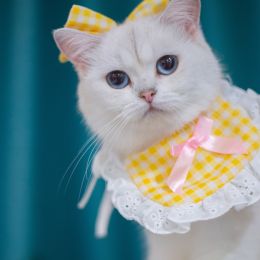 Cat Lace Suit Saliva Towel Princess Style Scarf Bib Decoration (Option: Yellow And White Plaid Suit-Less Than Free Size)