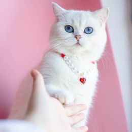 Pet Cat Beads Love Necklace (Option: Red White Beads Red-S)