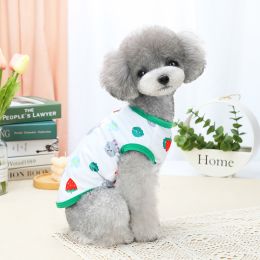 Spring And Summer Pet Costume Clothes (Option: Rabbit-M)