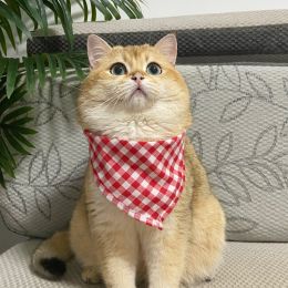 Cat Lace Suit Saliva Towel Princess Style Scarf Bib Decoration (Option: Red Triangular Binder-Less Than Free Size)