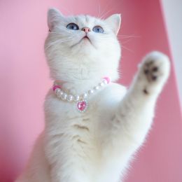 Pet Cat Beads Love Necklace (Option: Pink White Bead Powder-S)