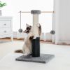 Indoor Small Cat Tree with Pad Fully Wrapped Scratching Posts