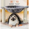 Indoor Cat Scratching Post Small Cat Tree Tower