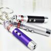 Cat Laser Stick For Dog & Cat; Cat Laser Pointer; Pet Chaser Tease Stick (Includes Battery)