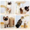 Indoor Funny Cozy Small Cat Tree Condo