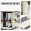 Indoor Small Cat Tree with Pad Fully Wrapped Scratching Posts