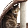 Indoor Cat Scratching Post Small Cat Tree Tower