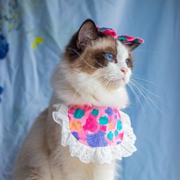 Cat Lace Suit Saliva Towel Princess Style Scarf Bib Decoration (Option: Colored Coral Suit-Less Than Free Size)