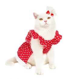 Black And White Polka Dot Dress Dog Princess Cute Skirt (Option: D Red And White Polka Dot-S)